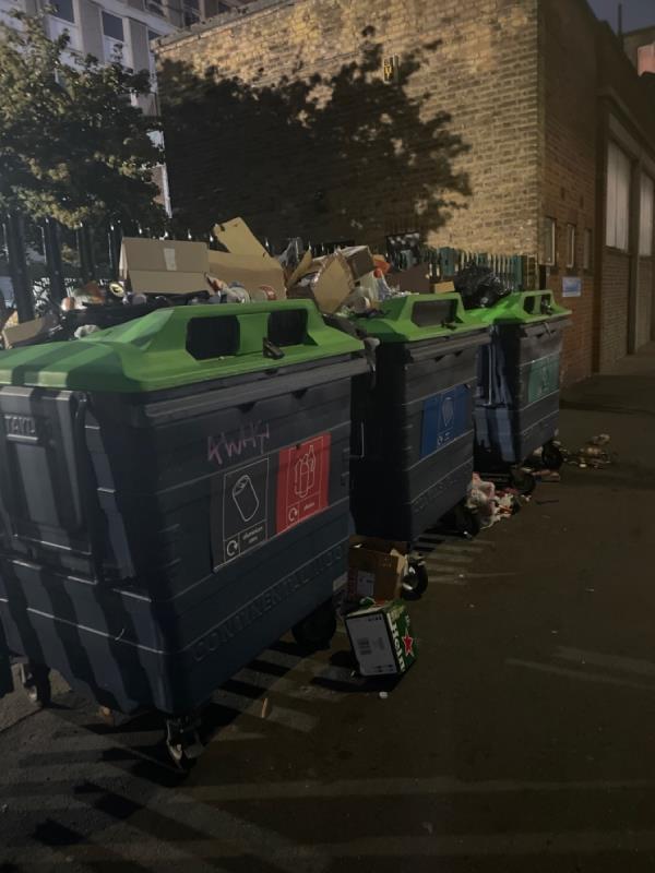 Bins outside Durning hall are over flowing -51 Woodgrange Road, London, E7 0EL