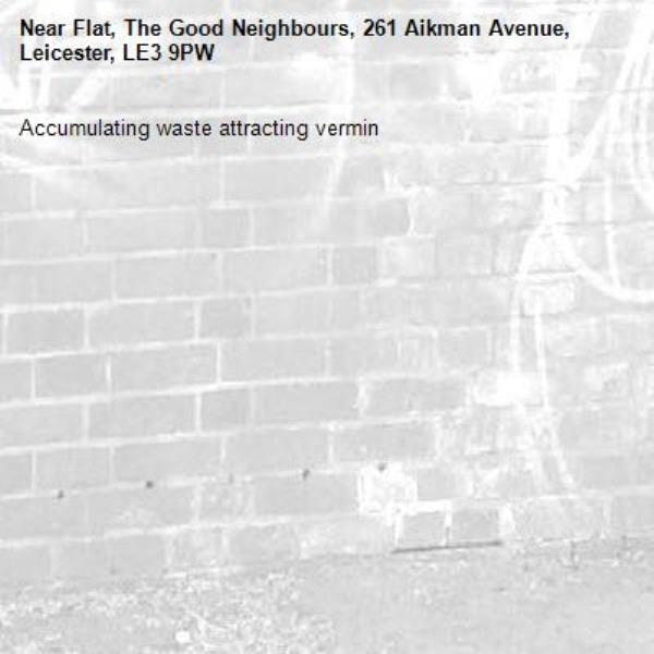 Accumulating waste attracting vermin-Flat, The Good Neighbours, 261 Aikman Avenue, Leicester, LE3 9PW