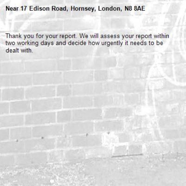 Thank you for your report. We will assess your report within two working days and decide how urgently it needs to be dealt with.-17 Edison Road, Hornsey, London, N8 8AE