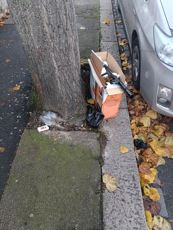 Box of rubbish by tree-54 Sibley Grove, Manor Park, London, E12 6SE