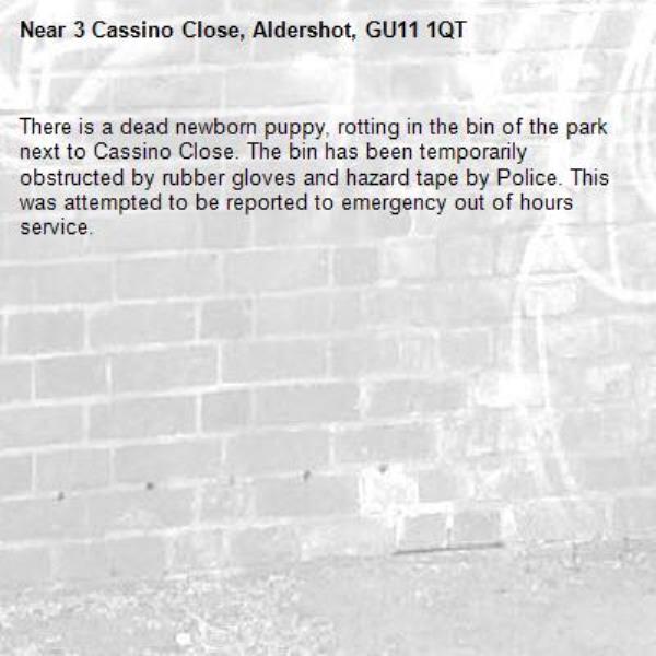 There is a dead newborn puppy, rotting in the bin of the park next to Cassino Close. The bin has been temporarily obstructed by rubber gloves and hazard tape by Police. This was attempted to be reported to emergency out of hours service.-3 Cassino Close, Aldershot, GU11 1QT