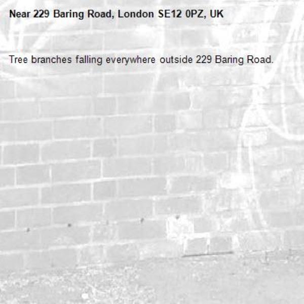 Tree branches falling everywhere outside 229 Baring Road.-229 Baring Road, London SE12 0PZ, UK