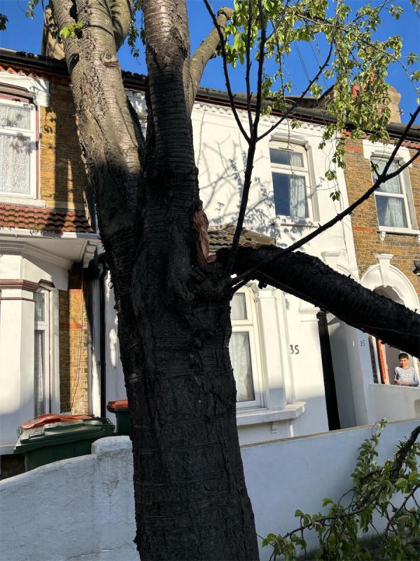 Due to strong winds, tree branch fell down on pavement, almost damaging a car. Pavement is now inaccessible, and is causing damage. 
Fly tipping is also starting to occur -37 Abbots Road, East Ham, London, E6 1LE