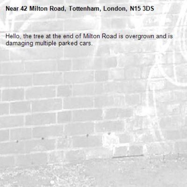 Hello, the tree at the end of Milton Road is overgrown and is damaging multiple parked cars.-42 Milton Road, Tottenham, London, N15 3DS