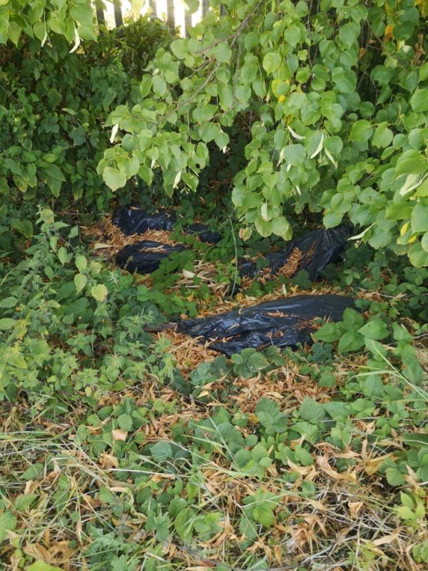 Bags dumped at the side of the road in the bushes next to golf course. -436 Thurcaston Road, Leicester, LE4 2RF