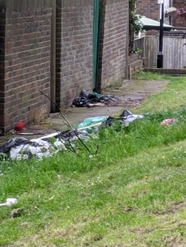 Bags of waste , food, rubbish tipped, attracting vermin.-22 Vineyard Close, London, SE6 4PH