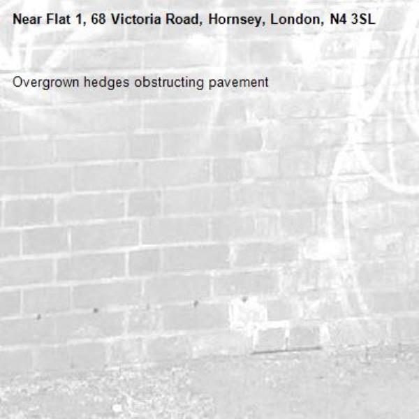 Overgrown hedges obstructing pavement -Flat 1, 68 Victoria Road, Hornsey, London, N4 3SL