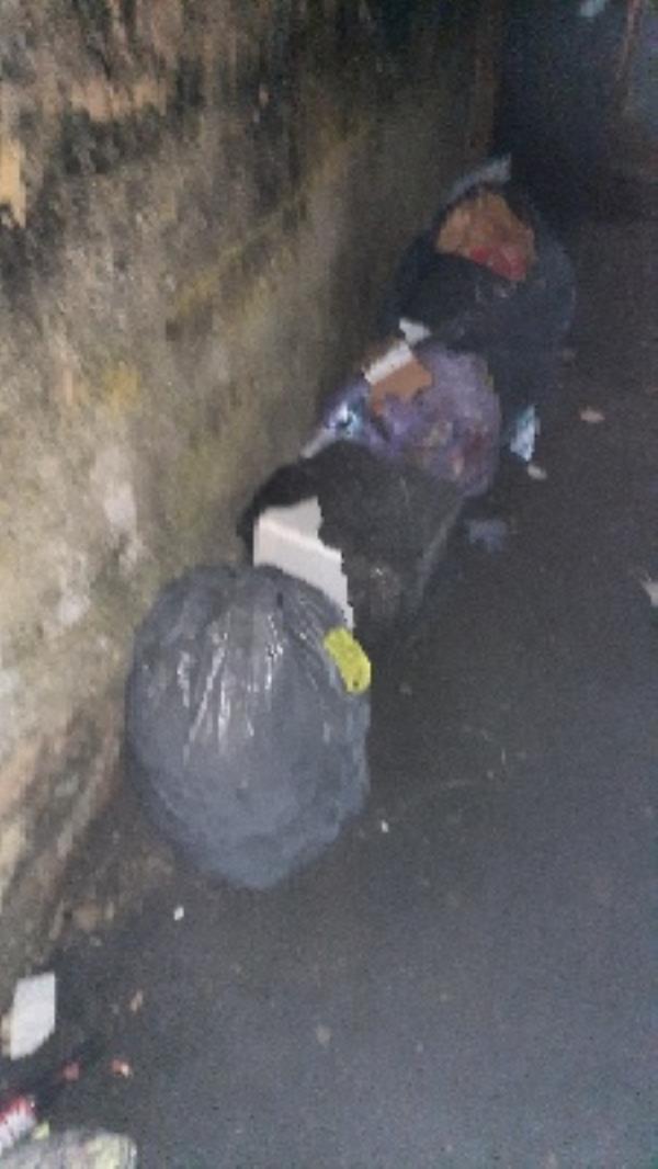 more rubbish on pavement -41 Catherine Street, Reading, RG30 1DN