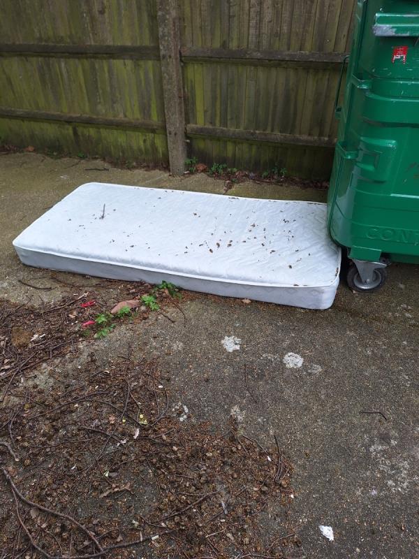 Mattress  and plaster board in the drying area. -49 Holly Place, Eastbourne, BN22 0UT