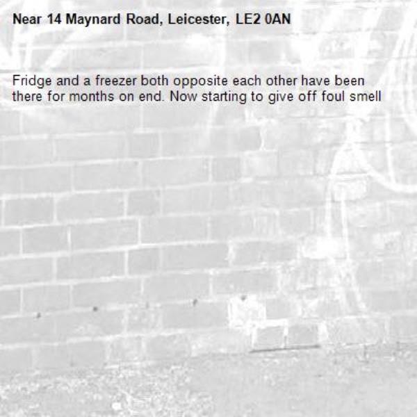 Fridge and a freezer both opposite each other have been there for months on end. Now starting to give off foul smell-14 Maynard Road, Leicester, LE2 0AN