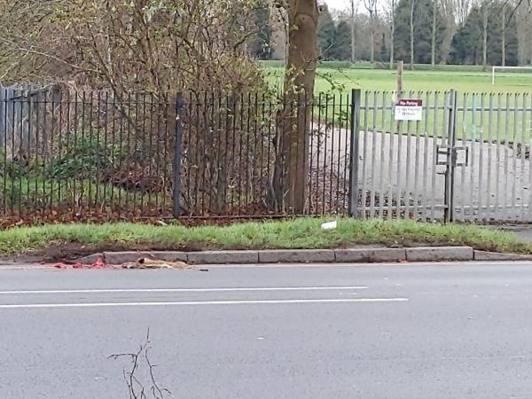 Dead fox in road. A hazard as dogs seen running into road. Is right next to entrance to Knighton park-739 Welford Road, Leicester, LE2 6HX