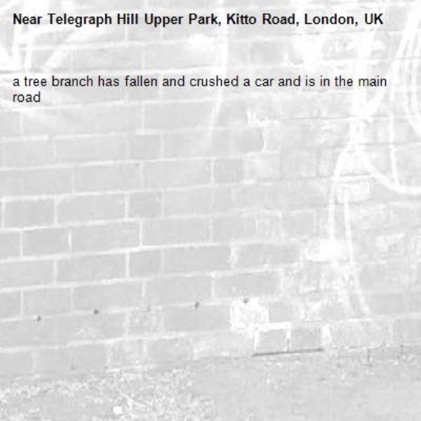 a tree branch has fallen and crushed a car and is in the main road -Telegraph Hill Upper Park, Kitto Road, London, UK