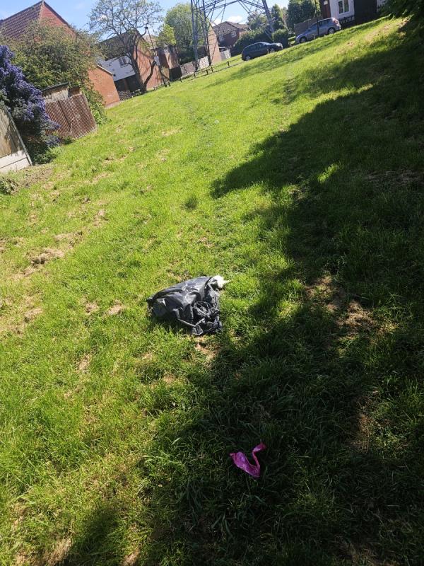 Hi. I am scared to open the bag but i think there is a dead animal in there. Please can someone investigate -16 Robson Close, Beckton, London, E6 5TD
