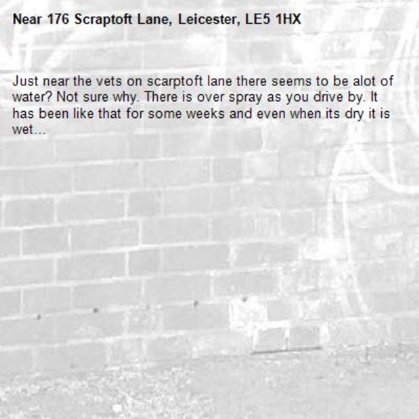 Just near the vets on scarptoft lane there seems to be alot of water? Not sure why. There is over spray as you drive by. It has been like that for some weeks and even when its dry it is wet…-176 Scraptoft Lane, Leicester, LE5 1HX