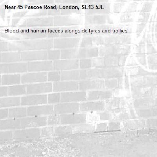 Blood and human faeces alongside tyres and trollies-45 Pascoe Road, London, SE13 5JE