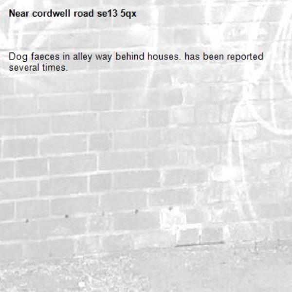 Dog faeces in alley way behind houses. has been reported several times. -cordwell road se13 5qx