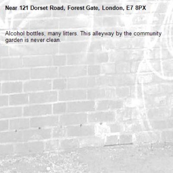 Alcohol bottles, many litters. This alleyway by the community garden is never clean.-121 Dorset Road, Forest Gate, London, E7 8PX