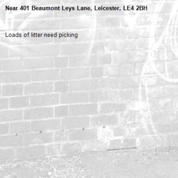 Loads of litter need picking-401 Beaumont Leys Lane, Leicester, LE4 2BH