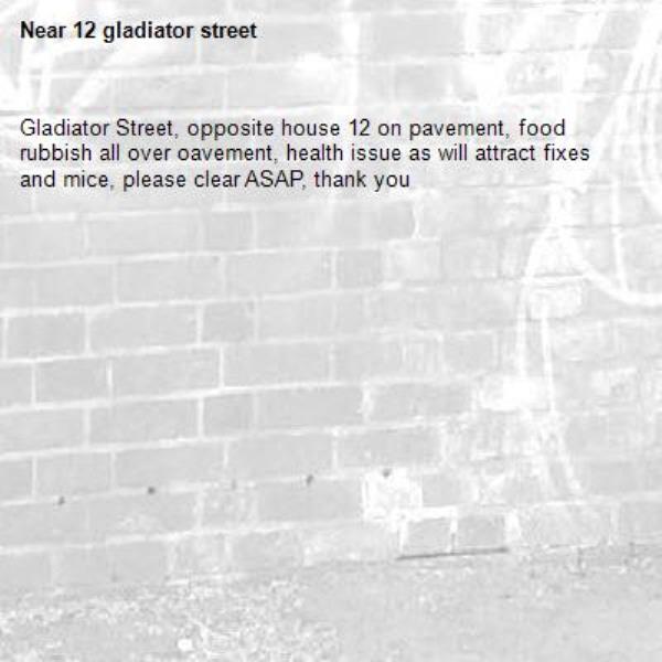Gladiator Street, opposite house 12 on pavement, food rubbish all over oavement, health issue as will attract fixes and mice, please clear ASAP, thank you
-12 gladiator street
