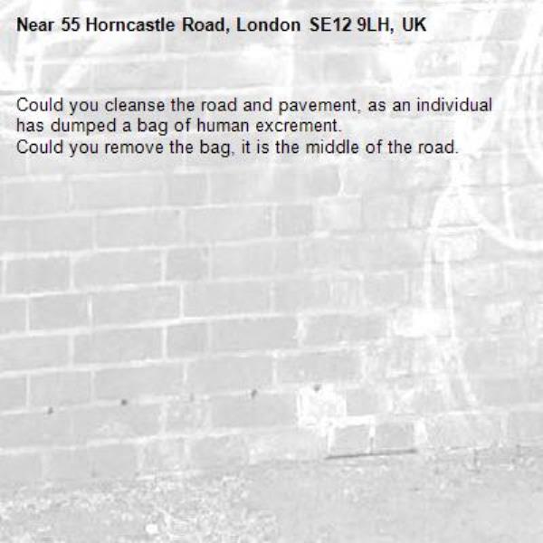 Could you cleanse the road and pavement, as an individual has dumped a bag of human excrement. 
Could you remove the bag, it is the middle of the road.-55 Horncastle Road, London SE12 9LH, UK