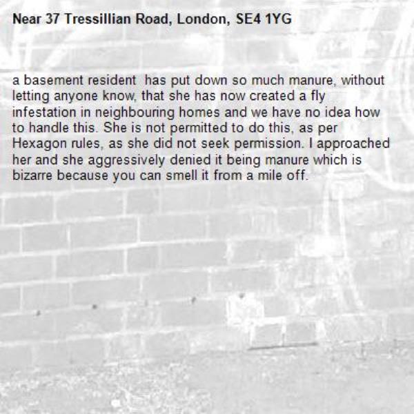 a basement resident  has put down so much manure, without letting anyone know, that she has now created a fly infestation in neighbouring homes and we have no idea how to handle this. She is not permitted to do this, as per Hexagon rules, as she did not seek permission. I approached her and she aggressively denied it being manure which is bizarre because you can smell it from a mile off. -37 Tressillian Road, London, SE4 1YG