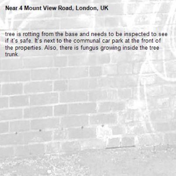 tree is rotting from the base and needs to be inspected to see if it's safe. It's next to the communal car park at the front of the properties. Also, there is fungus growing inside the tree trunk.-4 Mount View Road, London, UK