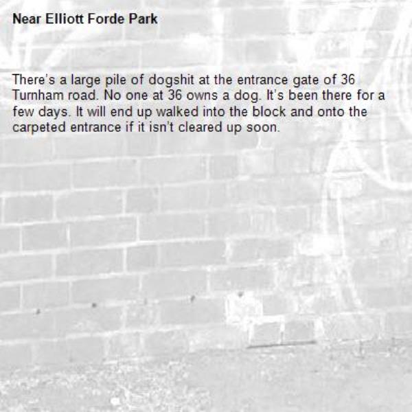 There’s a large pile of dogshit at the entrance gate of 36 Turnham road. No one at 36 owns a dog. It’s been there for a few days. It will end up walked into the block and onto the carpeted entrance if it isn’t cleared up soon. -Elliott Forde Park