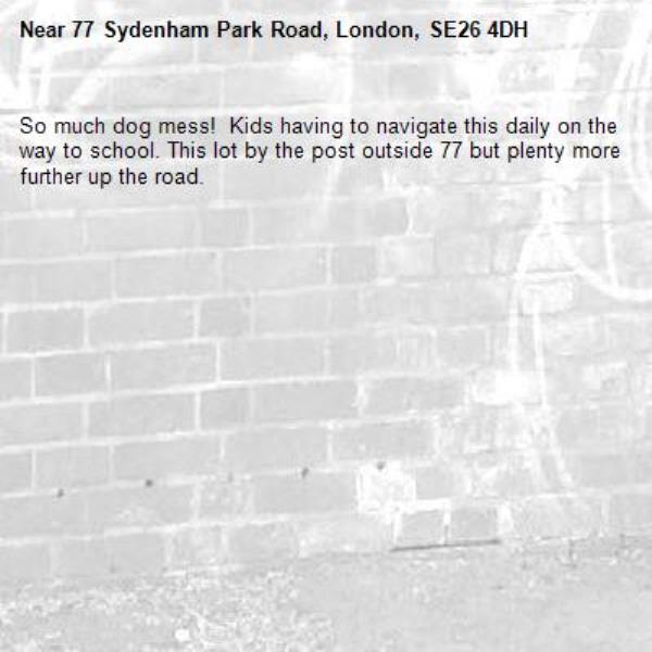 So much dog mess!  Kids having to navigate this daily on the way to school. This lot by the post outside 77 but plenty more further up the road.-77 Sydenham Park Road, London, SE26 4DH