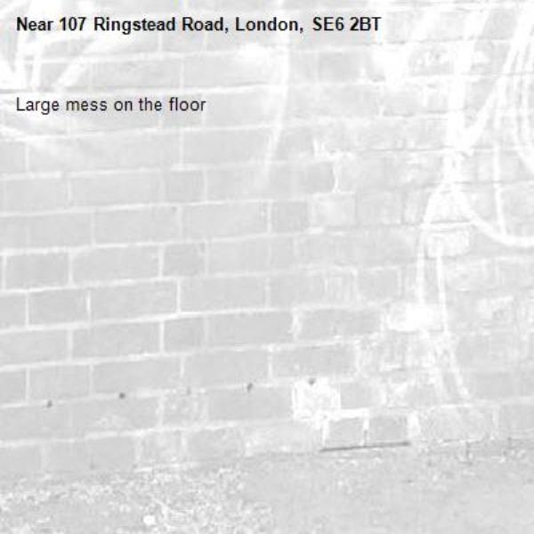 Large mess on the floor -107 Ringstead Road, London, SE6 2BT