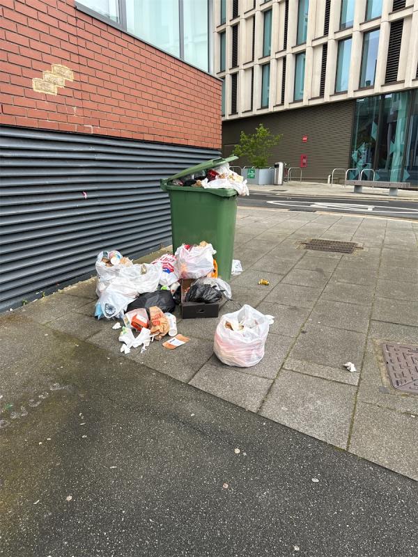 Someone put a bin there for some reason -23 Jupp Road, Stratford, London, E15 1AF