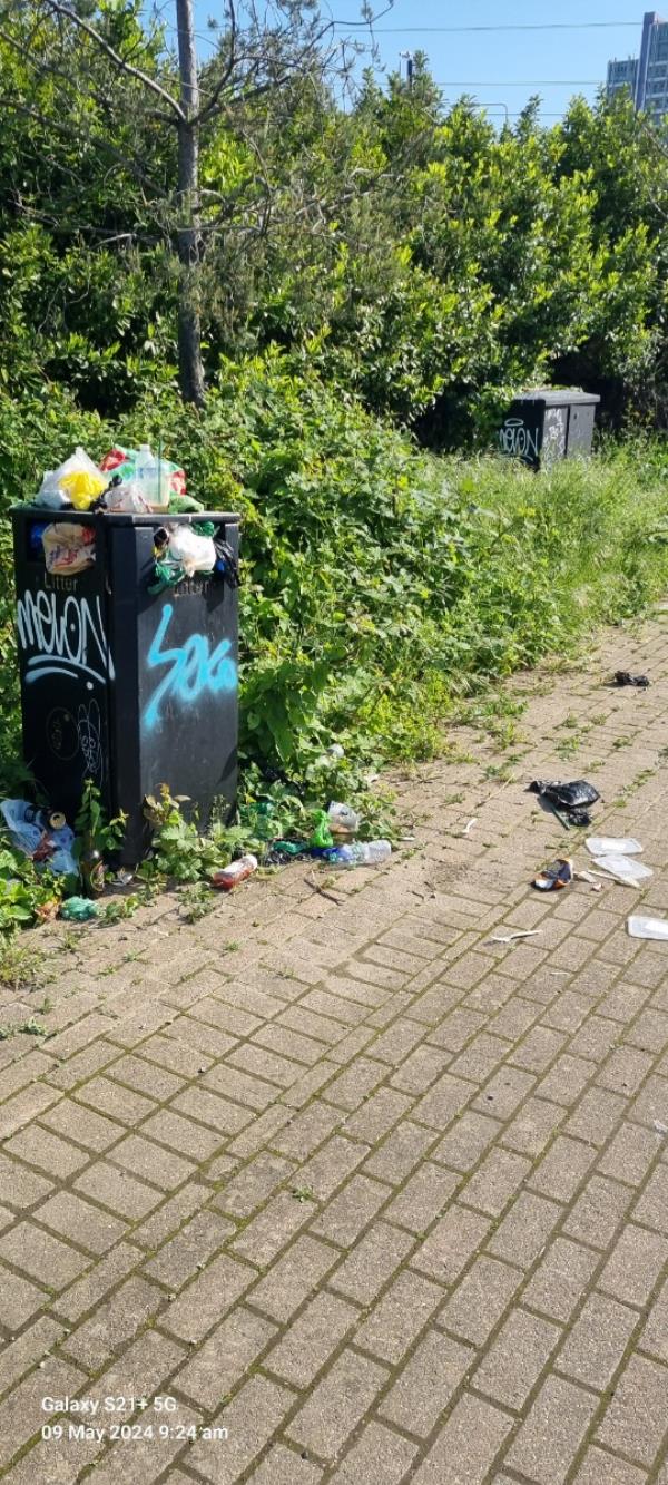 The two bins in this location have not been collected since January. This is a repeat issue and it is leading to dog faeces overflowing and rubbish falling into the river lea. -Barking Road, Canning Town, London