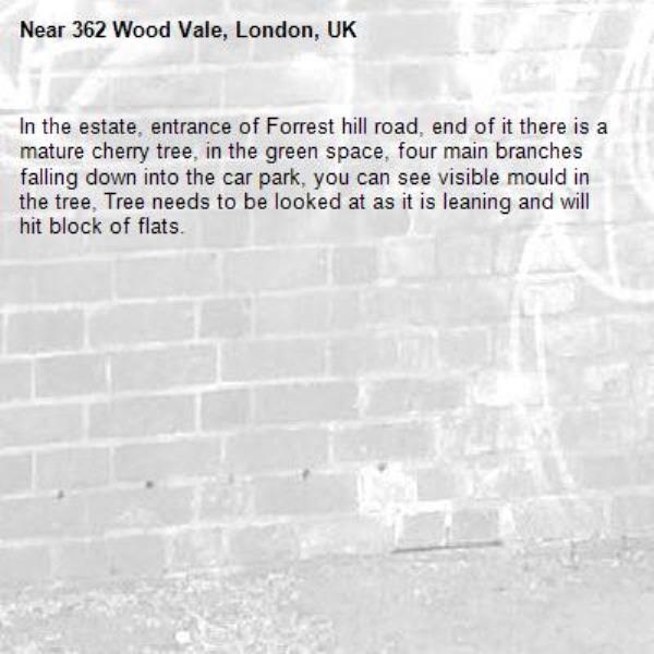 In the estate, entrance of Forrest hill road, end of it there is a mature cherry tree, in the green space, four main branches falling down into the car park, you can see visible mould in the tree, Tree needs to be looked at as it is leaning and will hit block of flats.-362 Wood Vale, London, UK