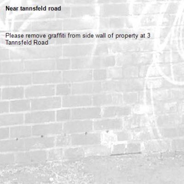 Please remove graffiti from side wall of property at 3 Tannsfeld Road-tannsfeld road