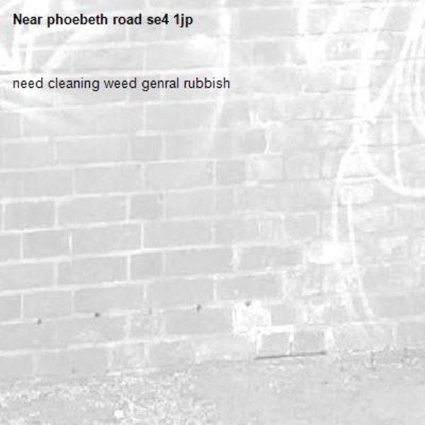 need cleaning weed genral rubbish-phoebeth road se4 1jp