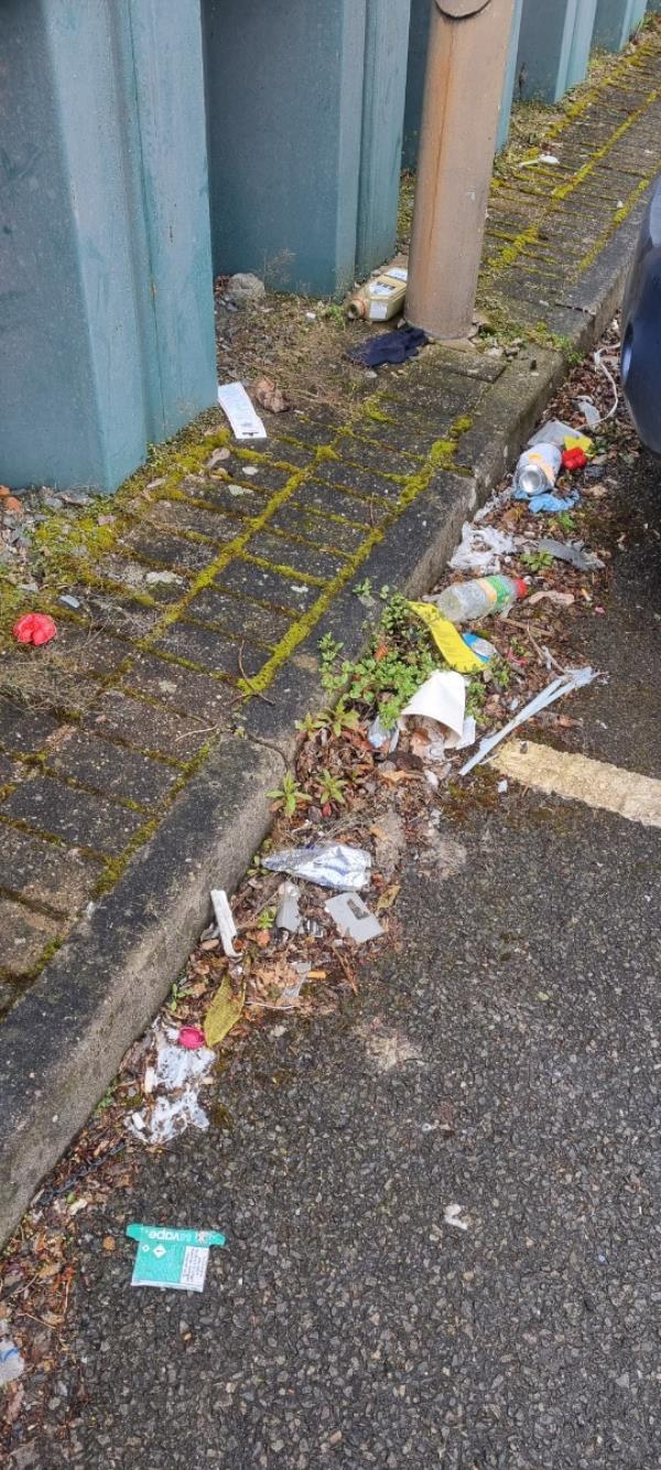 Lots of litter around the car park area of homebase and halfords. Picture is an example.-Putney Road, Leicester