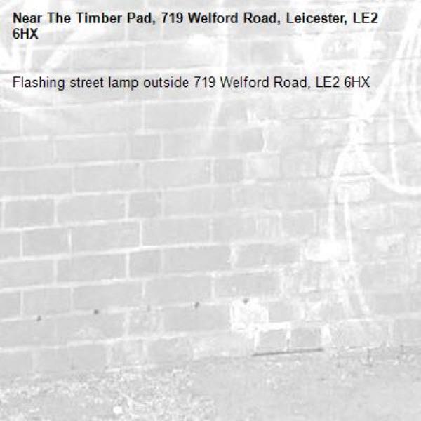 Flashing street lamp outside 719 Welford Road, LE2 6HX-The Timber Pad, 719 Welford Road, Leicester, LE2 6HX
