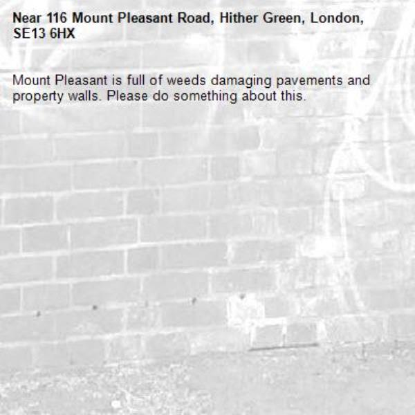 Mount Pleasant is full of weeds damaging pavements and property walls. Please do something about this.-116 Mount Pleasant Road, Hither Green, London, SE13 6HX