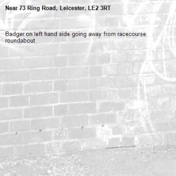 Badger on left hand side going away from racecourse roundabout -73 Ring Road, Leicester, LE2 3RT
