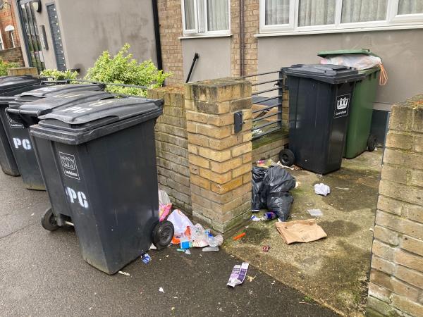 There is constantly much rubbish and food waste lying on the footpath by these bins. -Park Court, Knighton Park Road, London, SE26 5RH