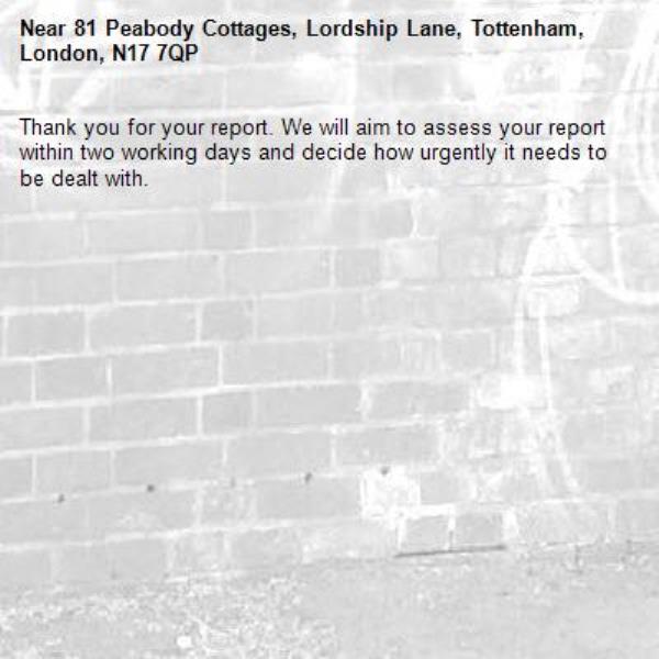 Thank you for your report. We will aim to assess your report within two working days and decide how urgently it needs to be dealt with.-81 Peabody Cottages, Lordship Lane, Tottenham, London, N17 7QP