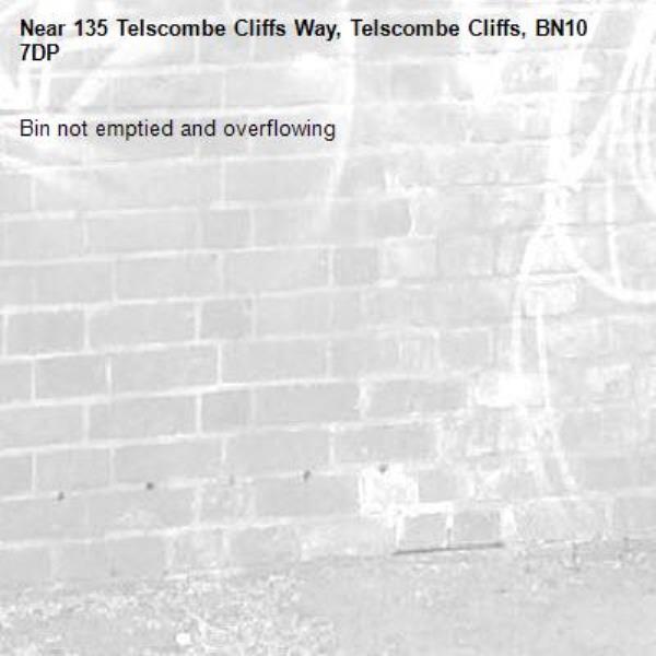 Bin not emptied and overflowing -135 Telscombe Cliffs Way, Telscombe Cliffs, BN10 7DP