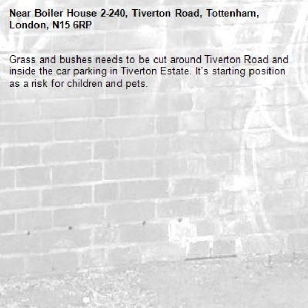 Grass and bushes needs to be cut around Tiverton Road and inside the car parking in Tiverton Estate. It’s starting position as a risk for children and pets.-Boiler House 2-240, Tiverton Road, Tottenham, London, N15 6RP
