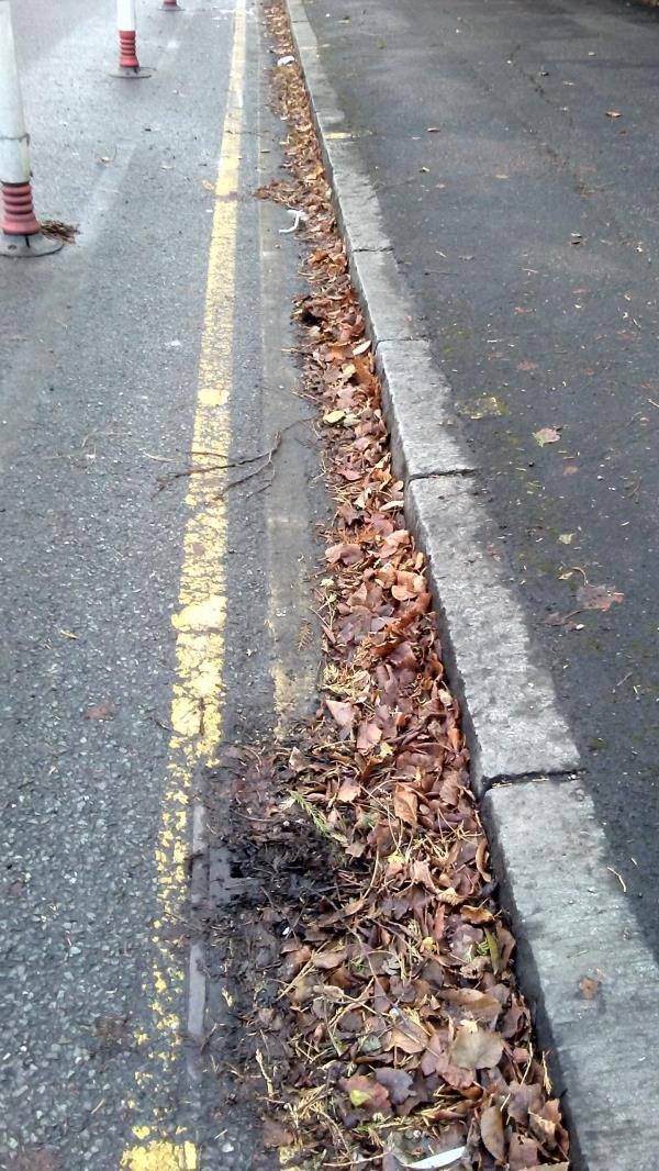 Fallen leaves have built up in the pop-up cycle lane on London Road between the junction with Knighton Drive and the start of the bus lane just north of the junction with Clarendon Park Road. Not only is this clogging some of the drains, resulting in the lane being flooded in heavy rain, but it is also becoming increasingly slippery as the leaves breakdown. The uploaded photo was taken after a few dry days but the leaves get very slippery after rain. Please could the lane be cleared before someone is seriously hurt either through skidding on the leaves or having to ride into the main line of traffic to avoid them or large puddles of water.-299 London Road, Leicester, LE2 3ND