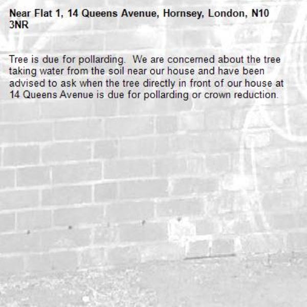 Tree is due for pollarding.  We are concerned about the tree taking water from the soil near our house and have been advised to ask when the tree directly in front of our house at 14 Queens Avenue is due for pollarding or crown reduction.-Flat 1, 14 Queens Avenue, Hornsey, London, N10 3NR