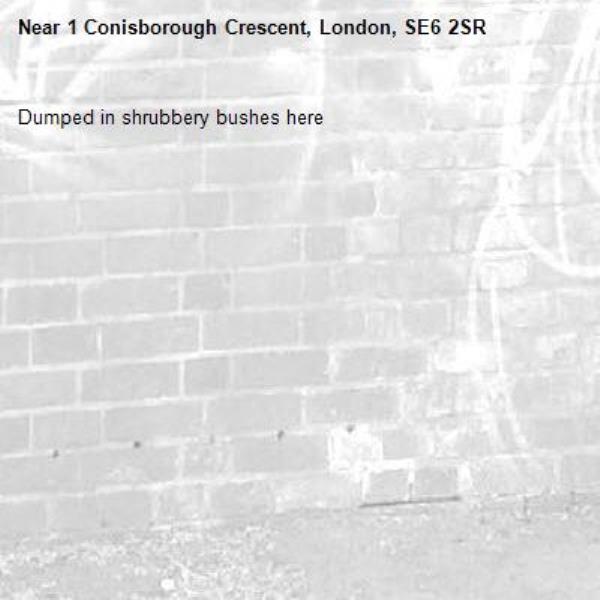 Dumped in shrubbery bushes here-1 Conisborough Crescent, London, SE6 2SR