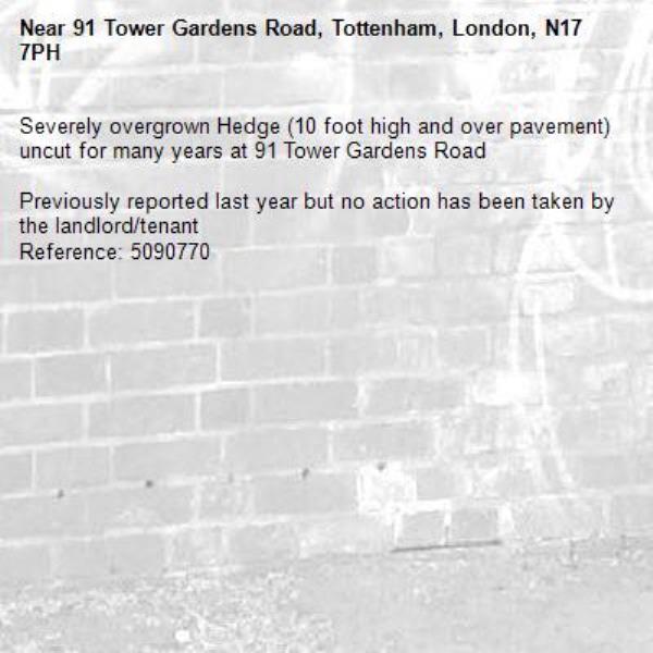 Severely overgrown Hedge (10 foot high and over pavement) uncut for many years at 91 Tower Gardens Road 

Previously reported last year but no action has been taken by the landlord/tenant
Reference: 5090770-91 Tower Gardens Road, Tottenham, London, N17 7PH