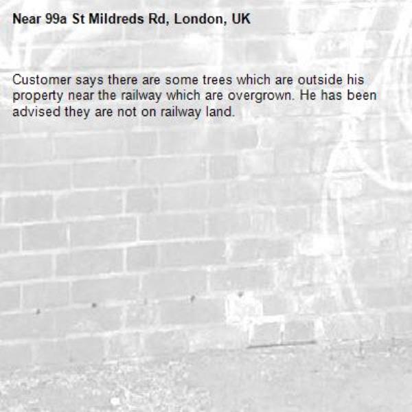 Customer says there are some trees which are outside his property near the railway which are overgrown. He has been advised they are not on railway land.-99a St Mildreds Rd, London, UK