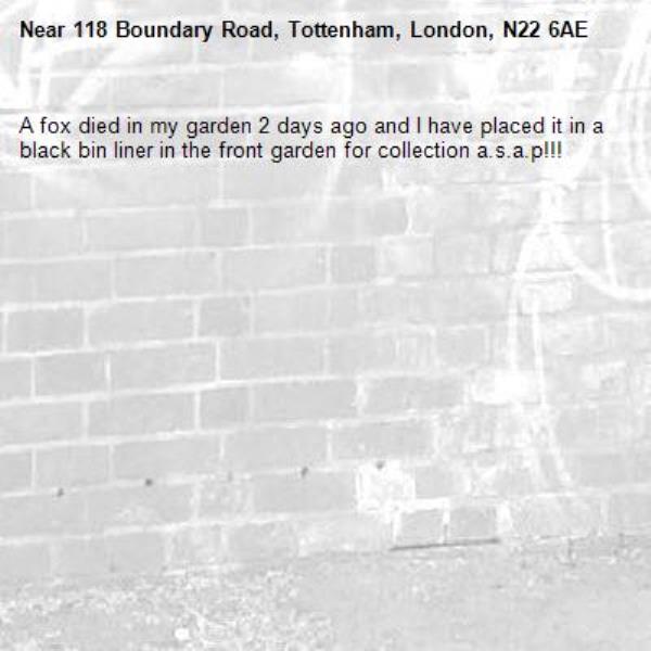 A fox died in my garden 2 days ago and I have placed it in a black bin liner in the front garden for collection a.s.a.p!!!-118 Boundary Road, Tottenham, London, N22 6AE