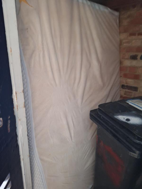 Donagal ct block 1-8 large mattress in bin store 

Please clear. Its been left here so it keeps dry and safe for operatives to remove ok

Thanks john -Waterford Court, 20 Biddenden Close, Eastbourne, BN23 7HY