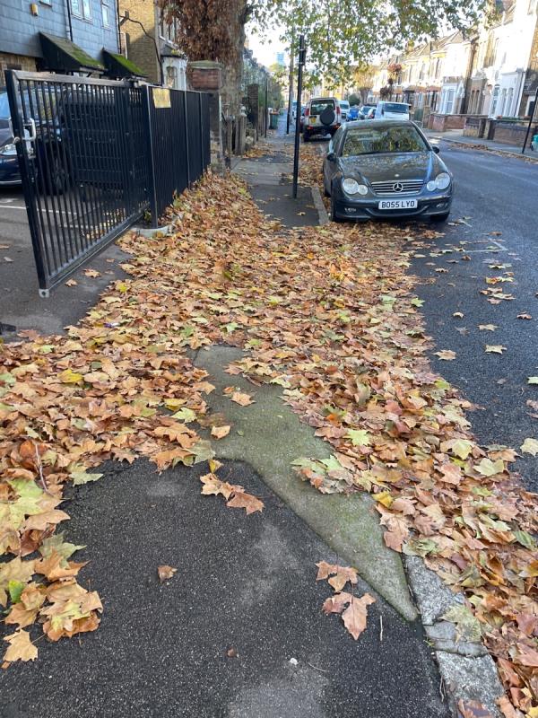 Lots of leaves dangerous for slipping and blocking drains-47 Clova Road, Forest Gate North, E7 9AQ, England, United Kingdom